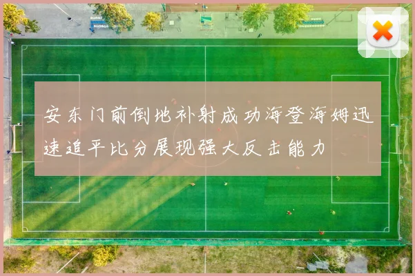 安东门前倒地补射成功海登海姆迅速追平比分展现强大反击能力