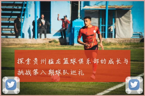探索贵州猛龙篮球俱乐部的成长与挑战第八期球队巡礼