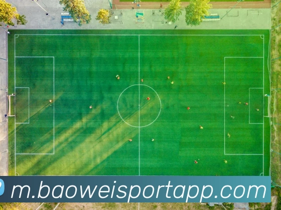 宝威体育发展历程